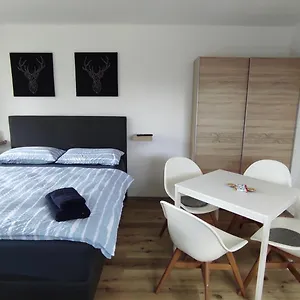 Mit Blick In Den Bayrischen Wald Oberhalb Von Sankt Engelmar Apartment
